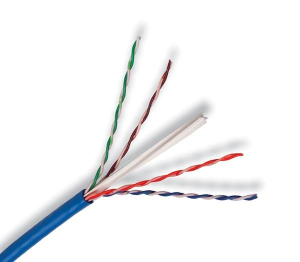 KBL AMP ORIGINAL CAT 6