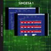 simdesa1